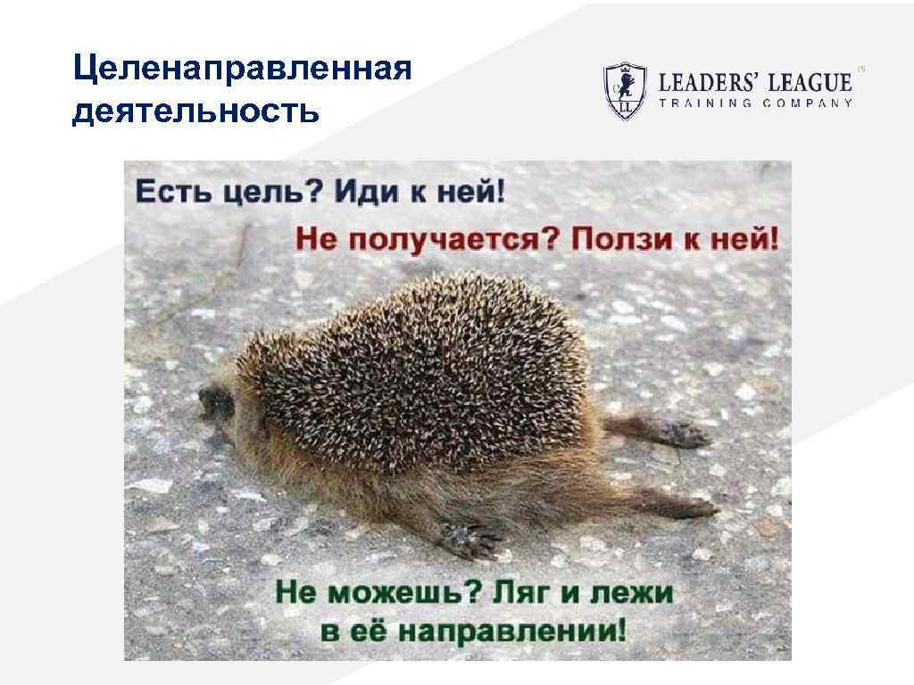 Целенаправленная деятельность 