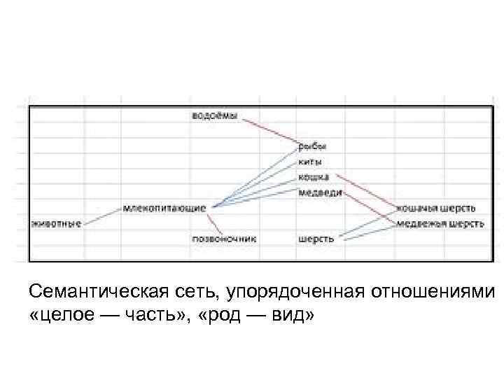 Семантическая сеть, упорядоченная отношениями «целое — часть» , «род — вид» 