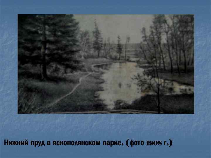 Нижний пруд в яснополянском парке. (фото 1908 г. ) 