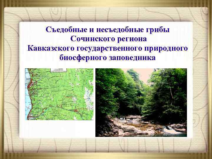Съедобные и несъедобные грибы Сочинского региона Кавказского государственного природного биосферного заповедника 