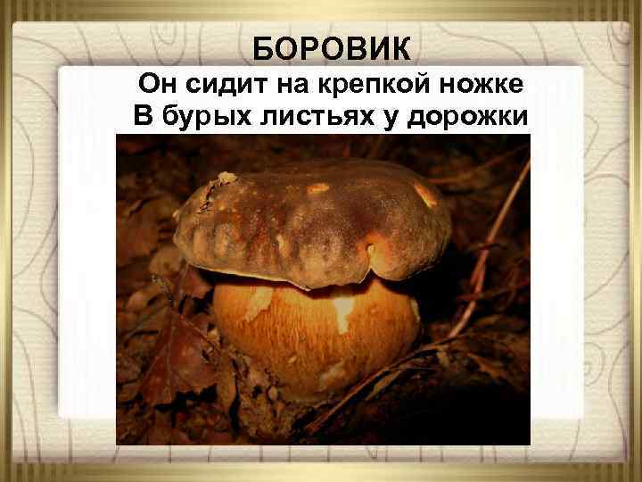 БОРОВИК Он сидит на крепкой ножке В бурых листьях у дорожки 
