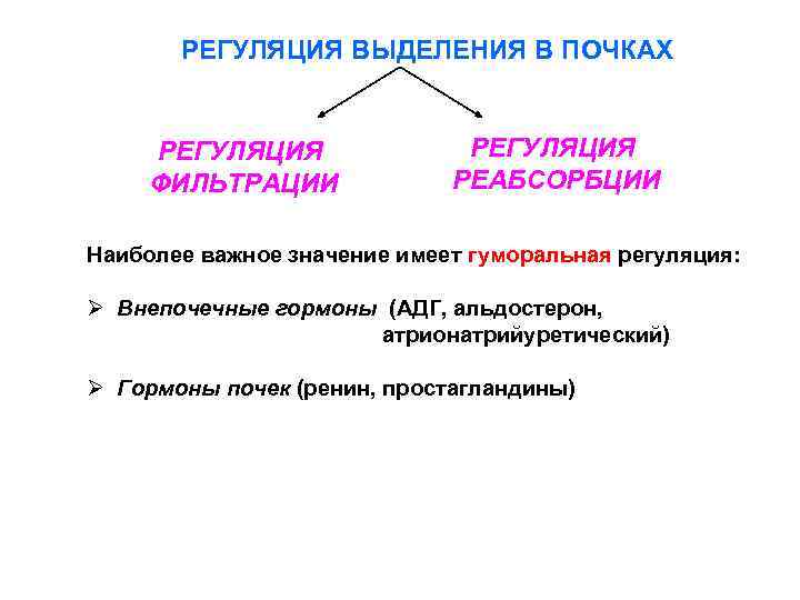 РЕГУЛЯЦИЯ ВЫДЕЛЕНИЯ В ПОЧКАХ РЕГУЛЯЦИЯ ФИЛЬТРАЦИИ РЕГУЛЯЦИЯ РЕАБСОРБЦИИ Наиболее важное значение имеет гуморальная регуляция: