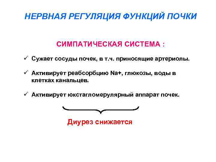 НЕРВНАЯ РЕГУЛЯЦИЯ ФУНКЦИЙ ПОЧКИ СИМПАТИЧЕСКАЯ СИСТЕМА : ü Сужает сосуды почек, в т. ч.