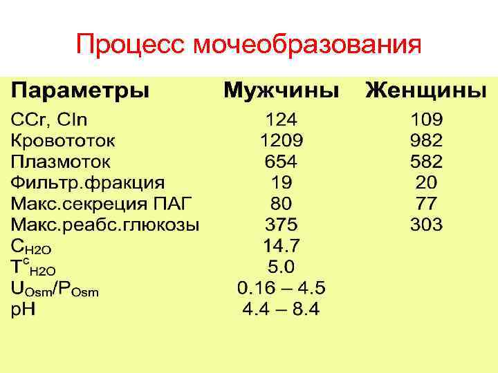 Процесс мочеобразования 