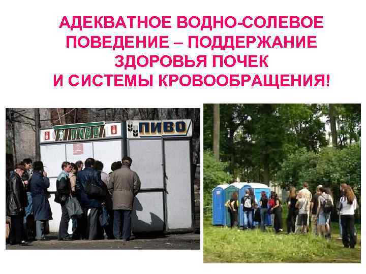АДЕКВАТНОЕ ВОДНО-СОЛЕВОЕ ПОВЕДЕНИЕ – ПОДДЕРЖАНИЕ ЗДОРОВЬЯ ПОЧЕК И СИСТЕМЫ КРОВООБРАЩЕНИЯ! 