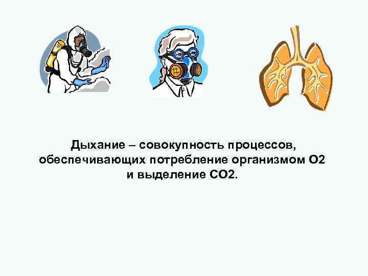 Дыхание – совокупность процессов, обеспечивающих потребление организмом О 2 и выделение СО 2. 
