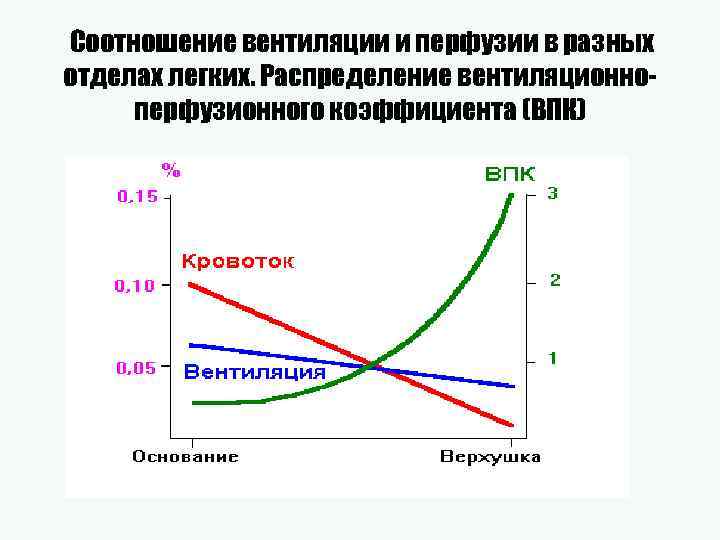 Соотношение вентиляции и перфузии в разных отделах легких. Распределение вентиляционноперфузионного коэффициента (ВПК) 