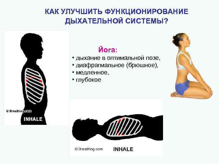 КАК УЛУЧШИТЬ ФУНКЦИОНИРОВАНИЕ ДЫХАТЕЛЬНОЙ СИСТЕМЫ? Йога: • дыхание в оптимальной позе, • диафрагмальное (брюшное),