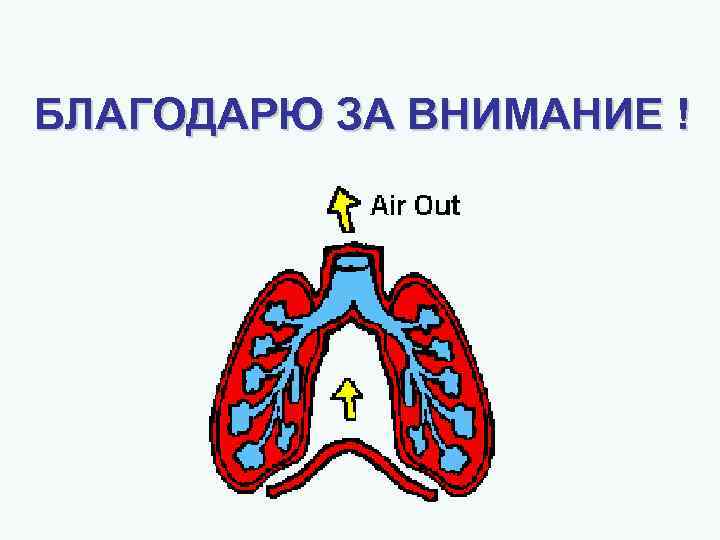 БЛАГОДАРЮ ЗА ВНИМАНИЕ ! 