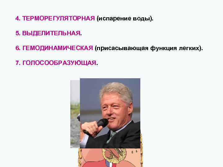 4. ТЕРМОРЕГУЛЯТОРНАЯ (испарение воды). 5. ВЫДЕЛИТЕЛЬНАЯ. 6. ГЕМОДИНАМИЧЕСКАЯ (присасывающая функция легких). 7. ГОЛОСООБРАЗУЮЩАЯ. 