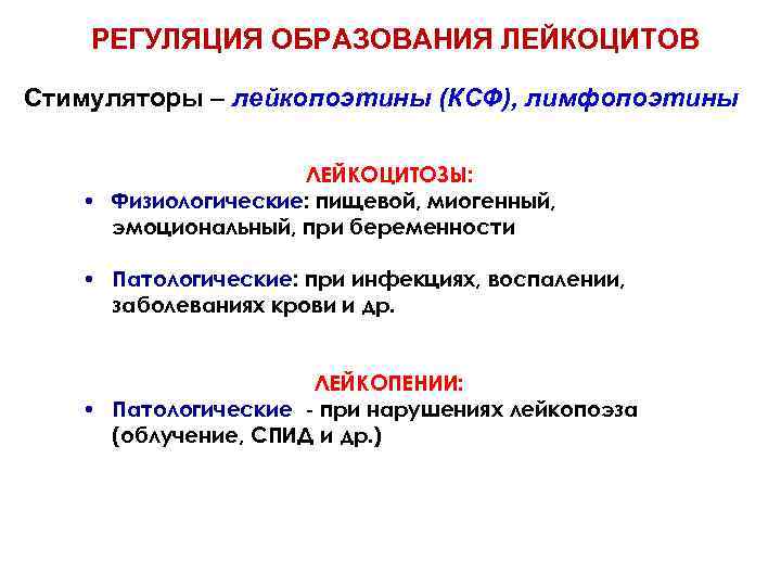РЕГУЛЯЦИЯ ОБРАЗОВАНИЯ ЛЕЙКОЦИТОВ Стимуляторы – лейкопоэтины (КСФ), лимфопоэтины ЛЕЙКОЦИТОЗЫ: • Физиологические: пищевой, миогенный, эмоциональный,