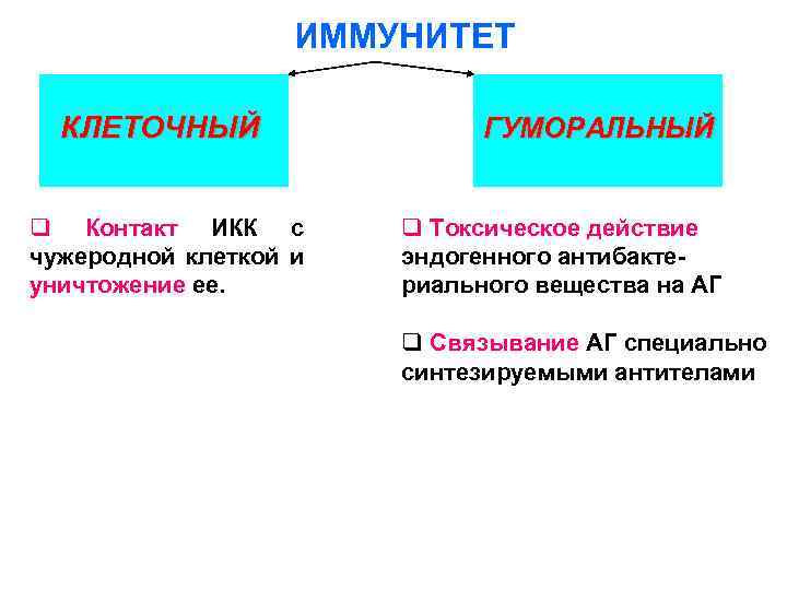 ИММУНИТЕТ КЛЕТОЧНЫЙ q Контакт ИКК с чужеродной клеткой и уничтожение ее. ГУМОРАЛЬНЫЙ q Токсическое