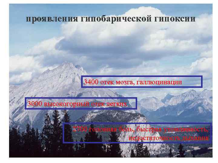 проявления гипобарической гипоксии 3400 отек мозга, галлюцинации 3000 высокогорный отек легких 2700 головная боль,