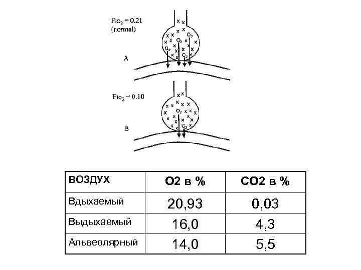 ВОЗДУХ О 2 в % СО 2 в % Вдыхаемый 20, 93 16, 0