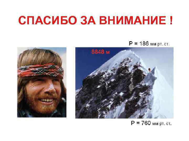 СПАСИБО ЗА ВНИМАНИЕ ! 