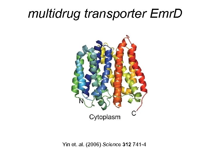 multidrug transporter Emr. D Yin et. al. (2006) Science 312 741 -4 