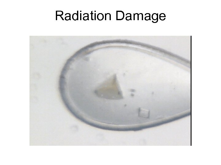 Radiation Damage thaw 