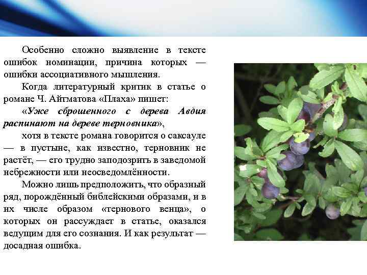 Особенно сложно выявление в тексте ошибок номинации, причина которых — ошибки ассоциативного мышления. Когда