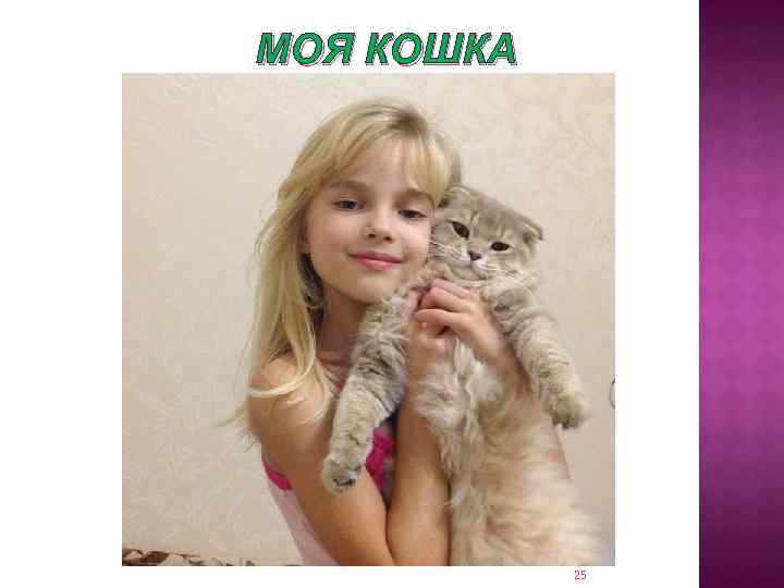 МОЯ КОШКА 25 