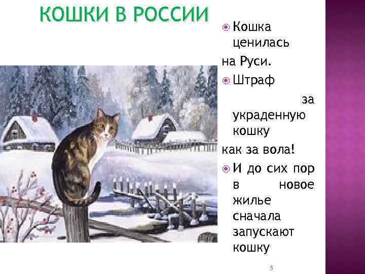 КОШКИ В РОССИИ Кошка ценилась на Руси. Штраф за украденную кошку как за вола!