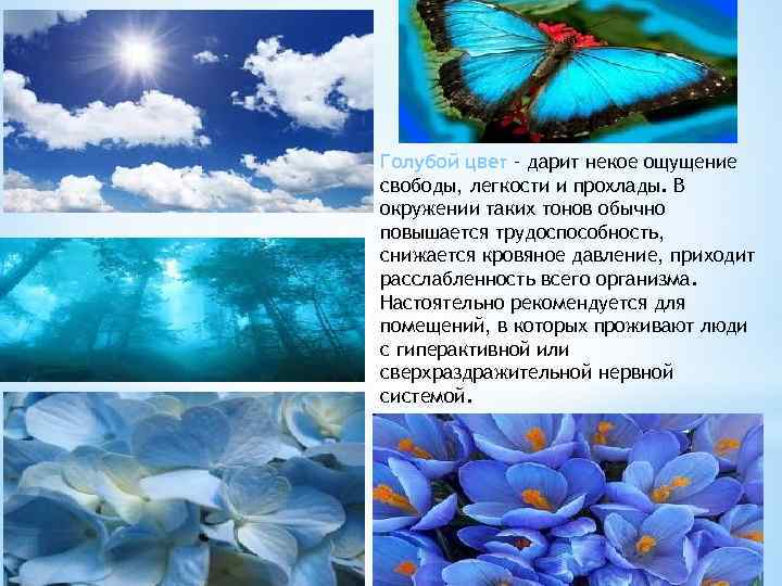 Голубой цвет – дарит некое ощущение свободы, легкости и прохлады. В окружении таких тонов