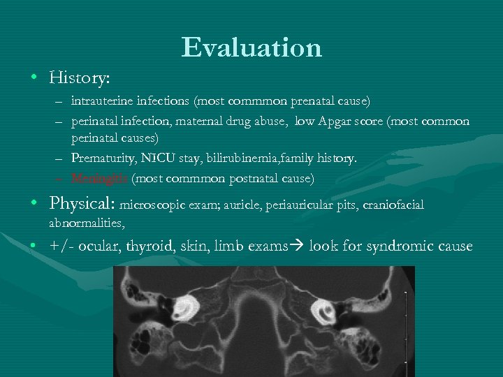 Evaluation • History: – intrauterine infections (most commmon prenatal cause) – perinatal infection, maternal