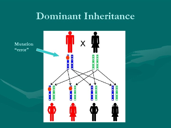 Dominant Inheritance Mutation “error