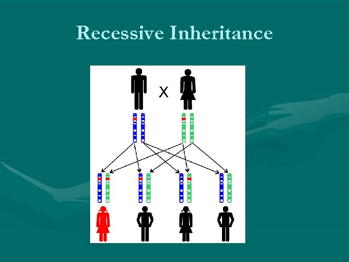 Recessive Inheritance 