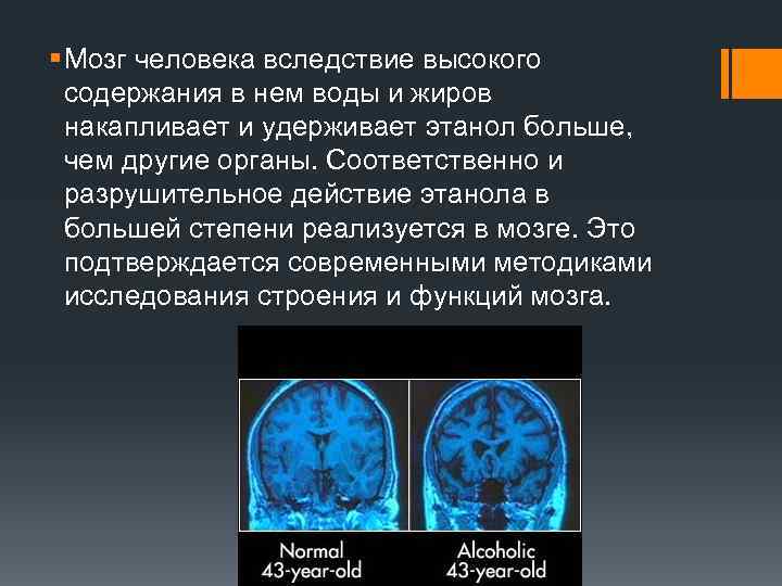 § Мозг человека вследствие высокого содержания в нем воды и жиров накапливает и удерживает