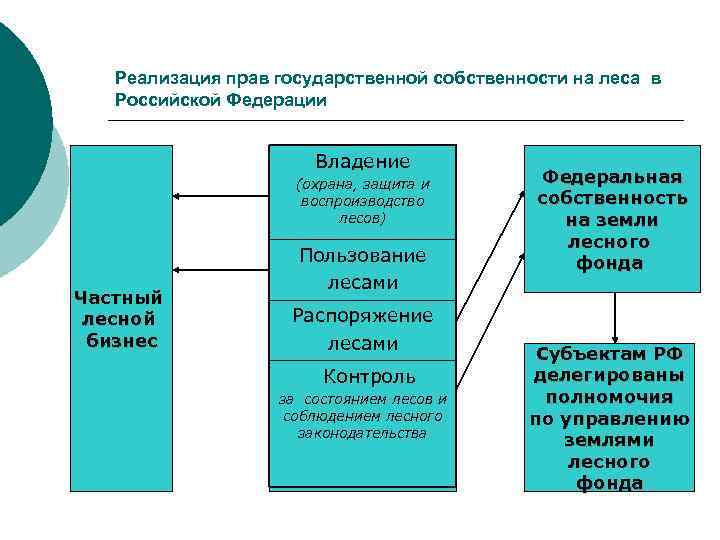 Реализация прав государственной собственности на леса в Российской Федерации Владение (охрана, защита и воспроизводство