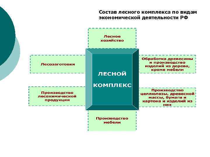 Состав лесного комплекса по видам экономической деятельности РФ 