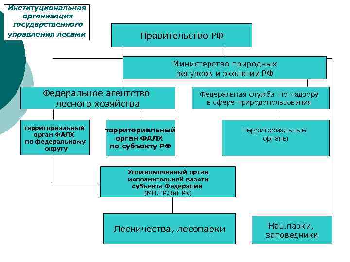 Институциональная организация государственного управления лесами Правительство РФ Министерство природных ресурсов и экологии РФ Федеральное