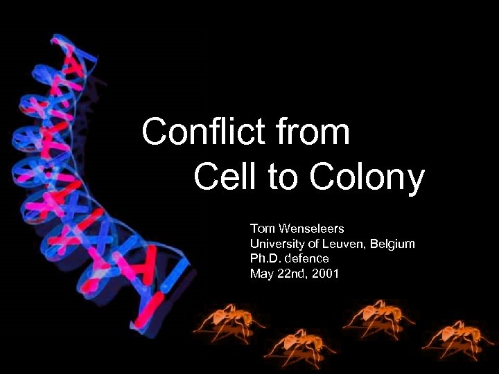 Conflict from Cell to Colony Tom Wenseleers University of Leuven, Belgium Ph. D. defence