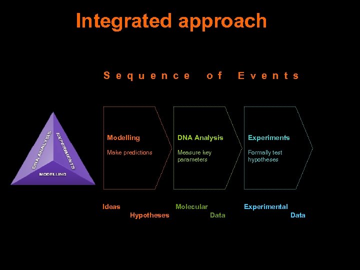 Integrated approach S e q u e n c e o f E v