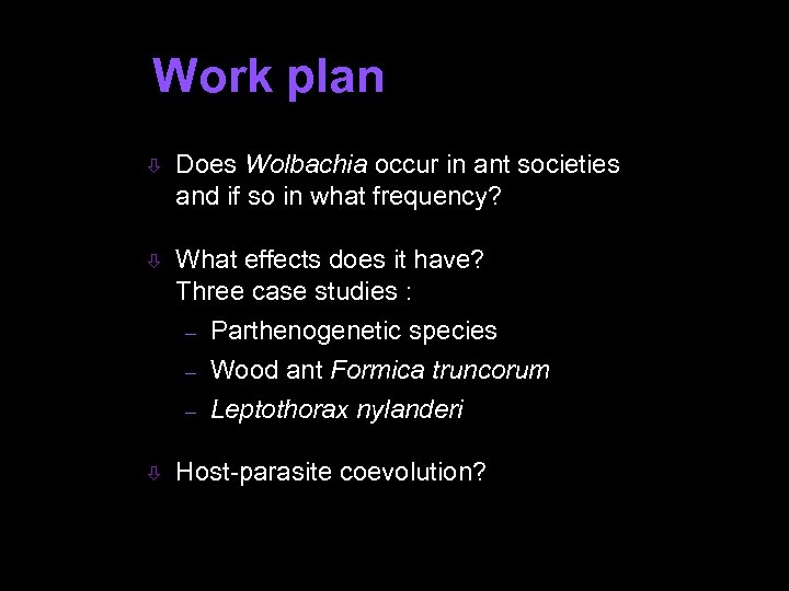 Work plan ò Does Wolbachia occur in ant societies and if so in what