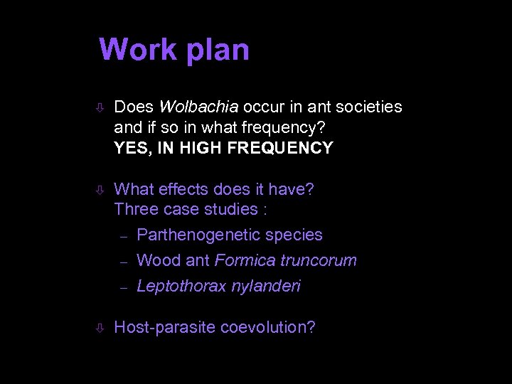 Work plan ò Does Wolbachia occur in ant societies and if so in what