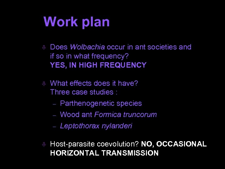 Work plan ò Does Wolbachia occur in ant societies and if so in what