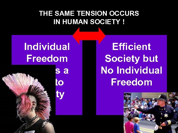 Comparative. TENSION OCCURS THE SAME predictions hold IN HUMAN SOCIETY ! stingless bees honey