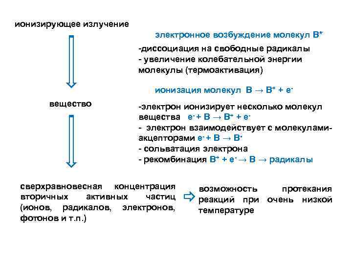 ионизирующее излучение электронное возбуждение молекул В* -диссоциация на свободные радикалы - увеличение колебательной энергии