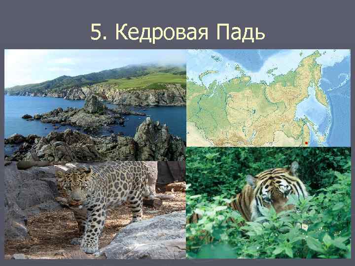 5. Кедровая Падь 