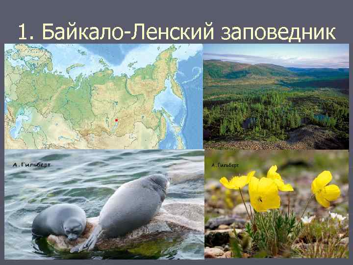 Байкало ленский заповедник где находится