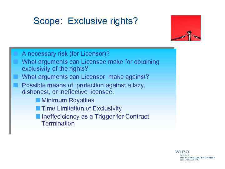 Scope: Exclusive rights? A necessary risk (for Licensor)? What arguments can Licensee make for