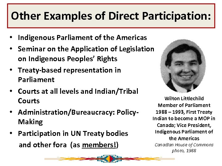 Other Examples of Direct Participation: • Indigenous Parliament of the Americas • Seminar on
