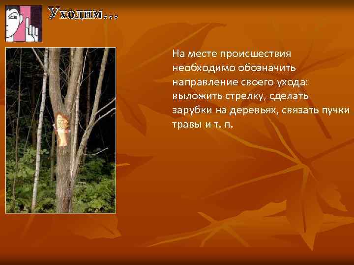 Уходим… На месте происшествия необходимо обозначить направление своего ухода: выложить стрелку, сделать зарубки на