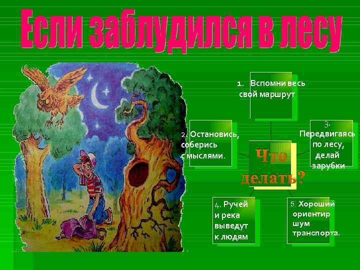 1. Вспомни весь свой маршрут 2. Остановись, соберись с мыслями. 3. Передвигаясь по лесу,