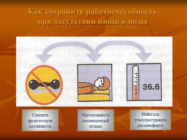 Как сохранить работоспособность при отсутствии пищи и воды Снизить физическую активность Организовать полноценный отдых