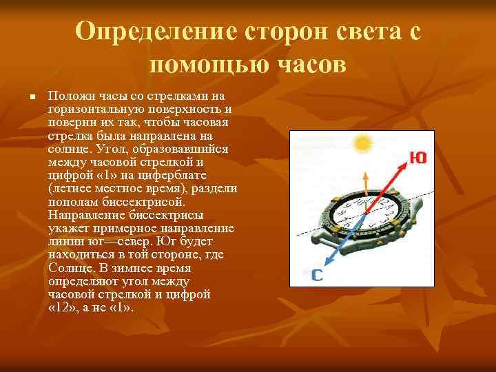 Определение сторон света с помощью часов n Положи часы со стрелками на горизонтальную поверхность