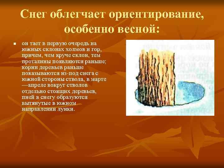 Снег облегчает ориентирование, особенно весной: n он тает в первую очередь на южных склонах
