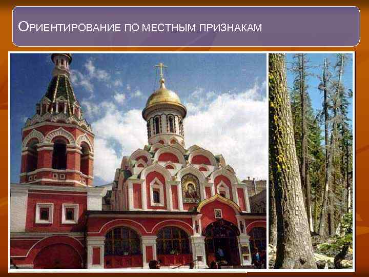 ОРИЕНТИРОВАНИЕ ПО МЕСТНЫМ ПРИЗНАКАМ Ю 