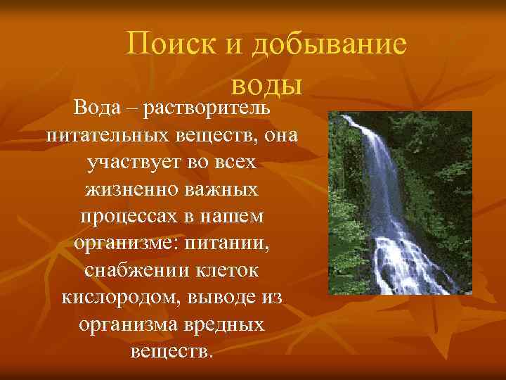 Поиск и добывание воды Вода – растворитель питательных веществ, она участвует во всех жизненно